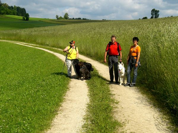 Wanderung zur Klammleitenklamm